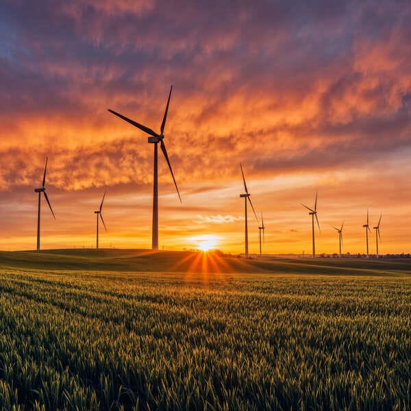Campo con turbinas eolicas al fondo